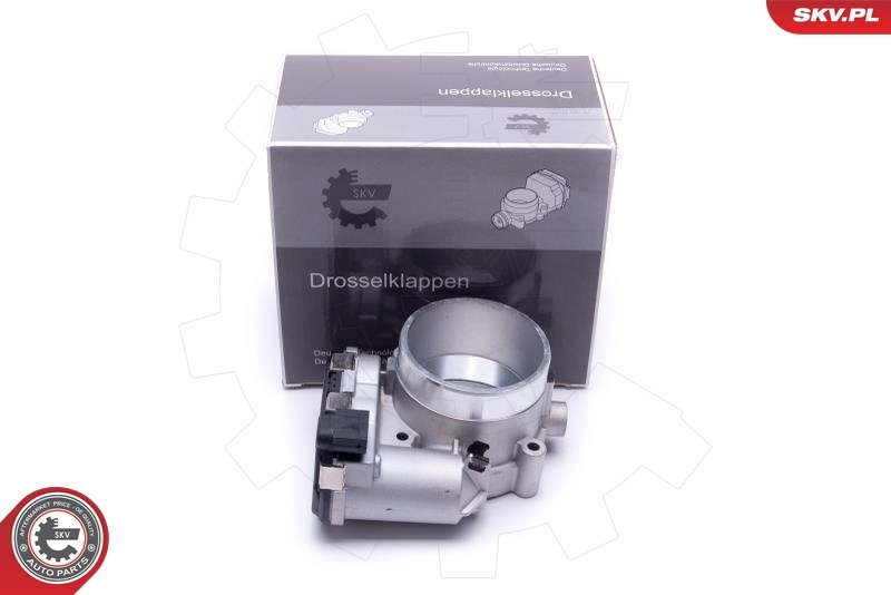 Throttle Body
